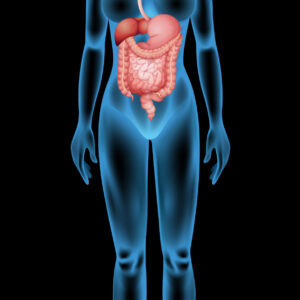  Digestive Care